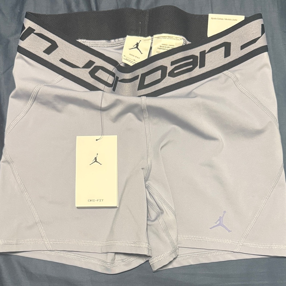 Jordan Light purple Performance Shorts